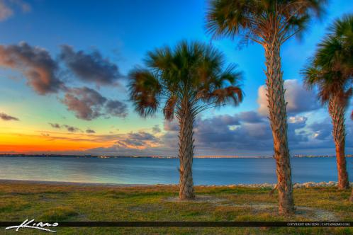 Stuart Florida Okeechobee Waterway Palm Trees at Park