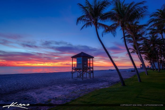 Deerfield Beach International Fishing Pier with Coconut Trees