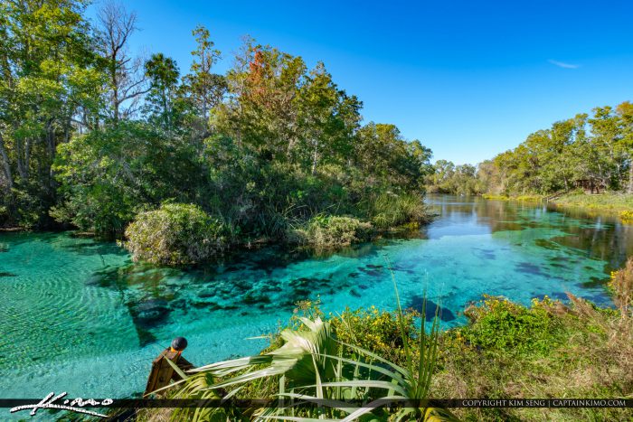 Weeki Wachee Springs State Park Blue Sping Waters River