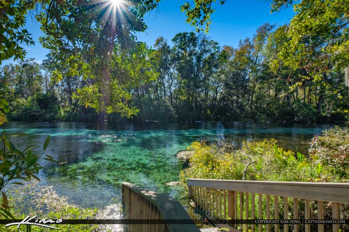 Weeki Wachee Springs State Park Blue Sping Waters Wooden Stairs