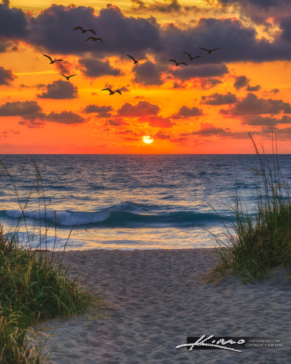 Jensen Beach Park Sunrise Ocean Wave Sand Dunes HDR Photography by