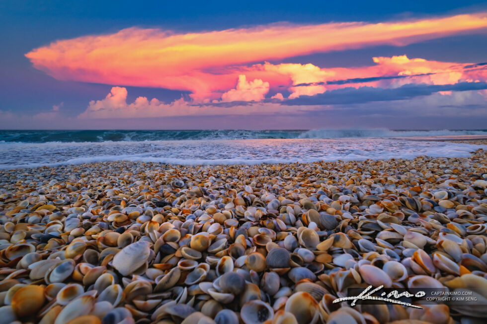 Jupiter Beach Entrance 49 Shells Along the Coast HDR Photography by