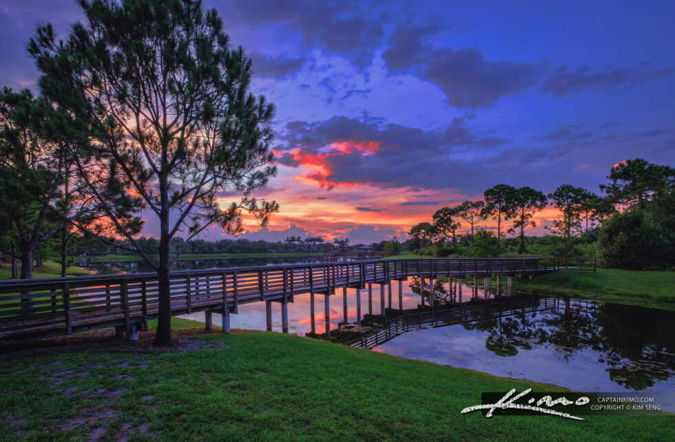 North Jupiter Flatwoods Natural Area Sunset Jupiter Florida HDR