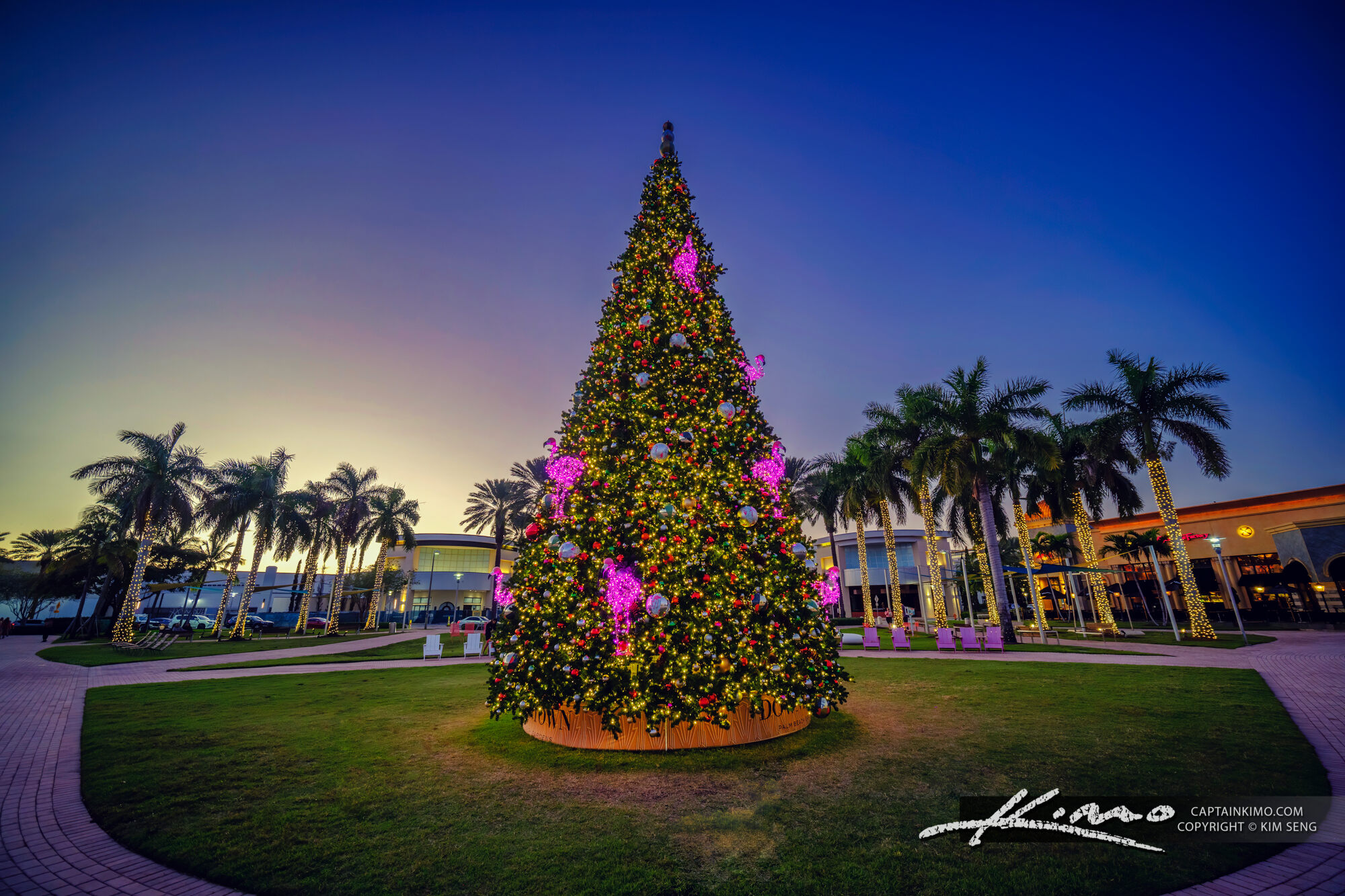 Downtown Palm Beach Gardens Christmas Tree HDR Photography By Captain 