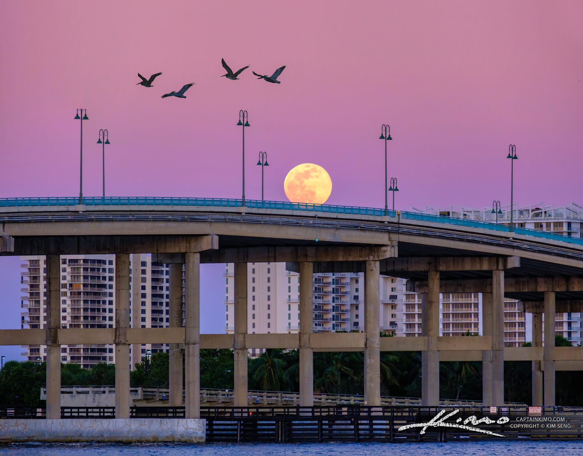 Blue Heron Bridge Tides - 57exlmj