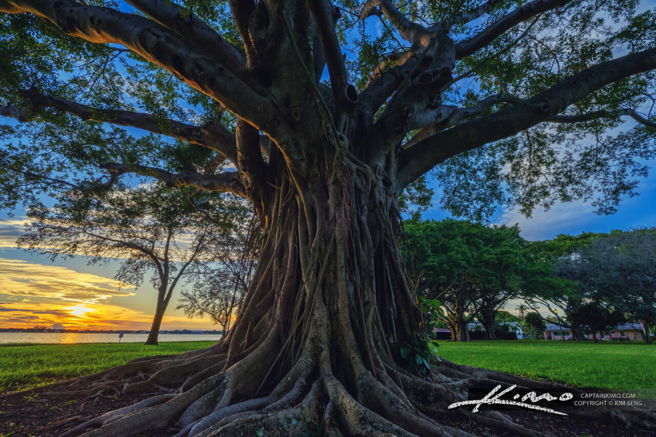 Sunset Park West Palm Beach | HDR Photography by Captain Kimo