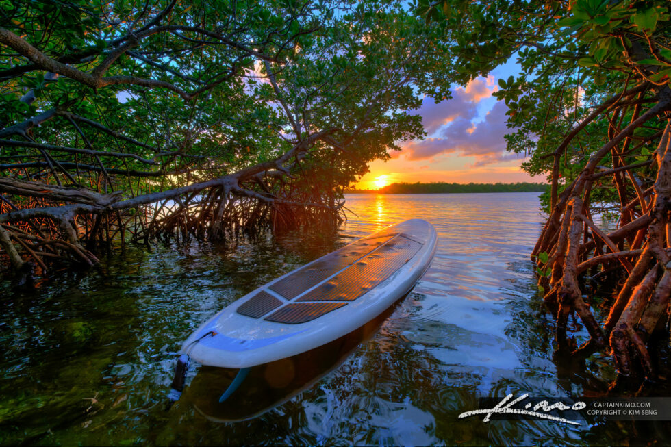 Singer Mangroe Paddle Board Sunset Singer Island Mangrove | HDR Photography by Captain ...