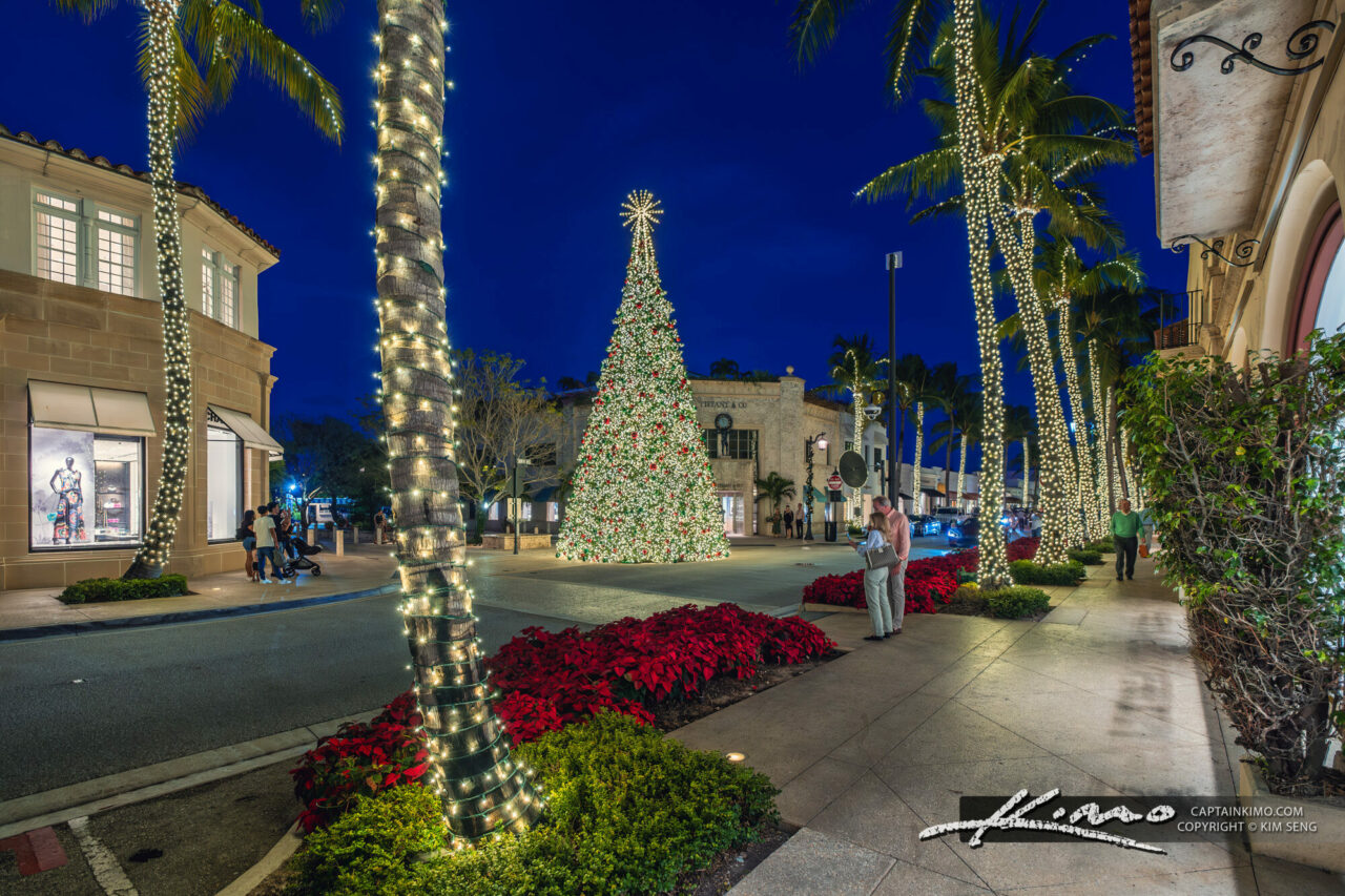 Worth Avenue Christmas Tree Palm Beach Island HDR Photography by
