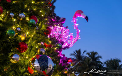 Flamingo Twilight Illumination