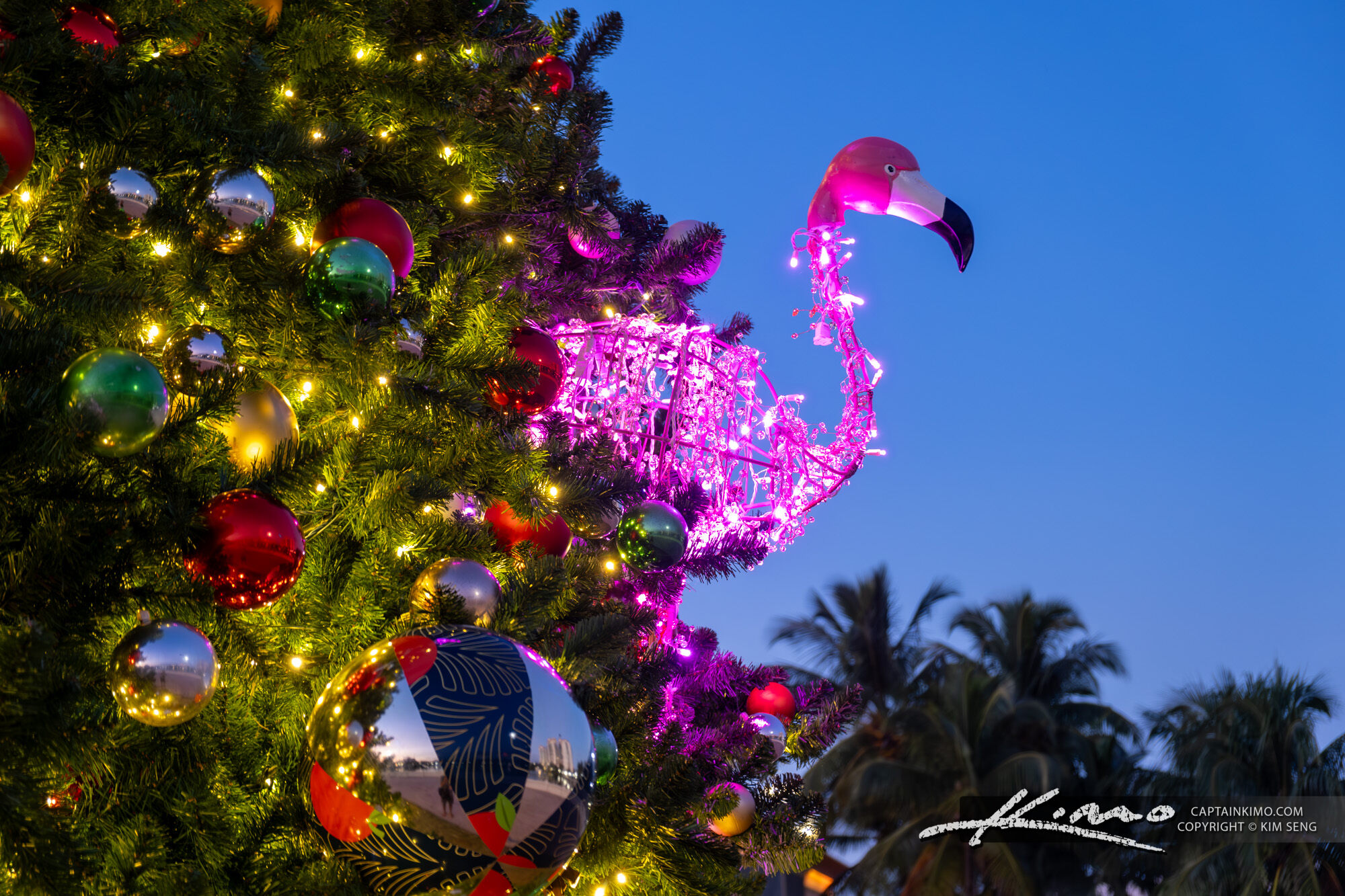 Flamingo Twilight Illumination HDR Photography By Captain Kimo Flamingo Twilight Illumination HDR Photography By Captain Kimo
