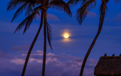 Moonlit Surfers Retreat at Juno Beach