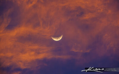 Crimson Twilight Moon Over Miami
