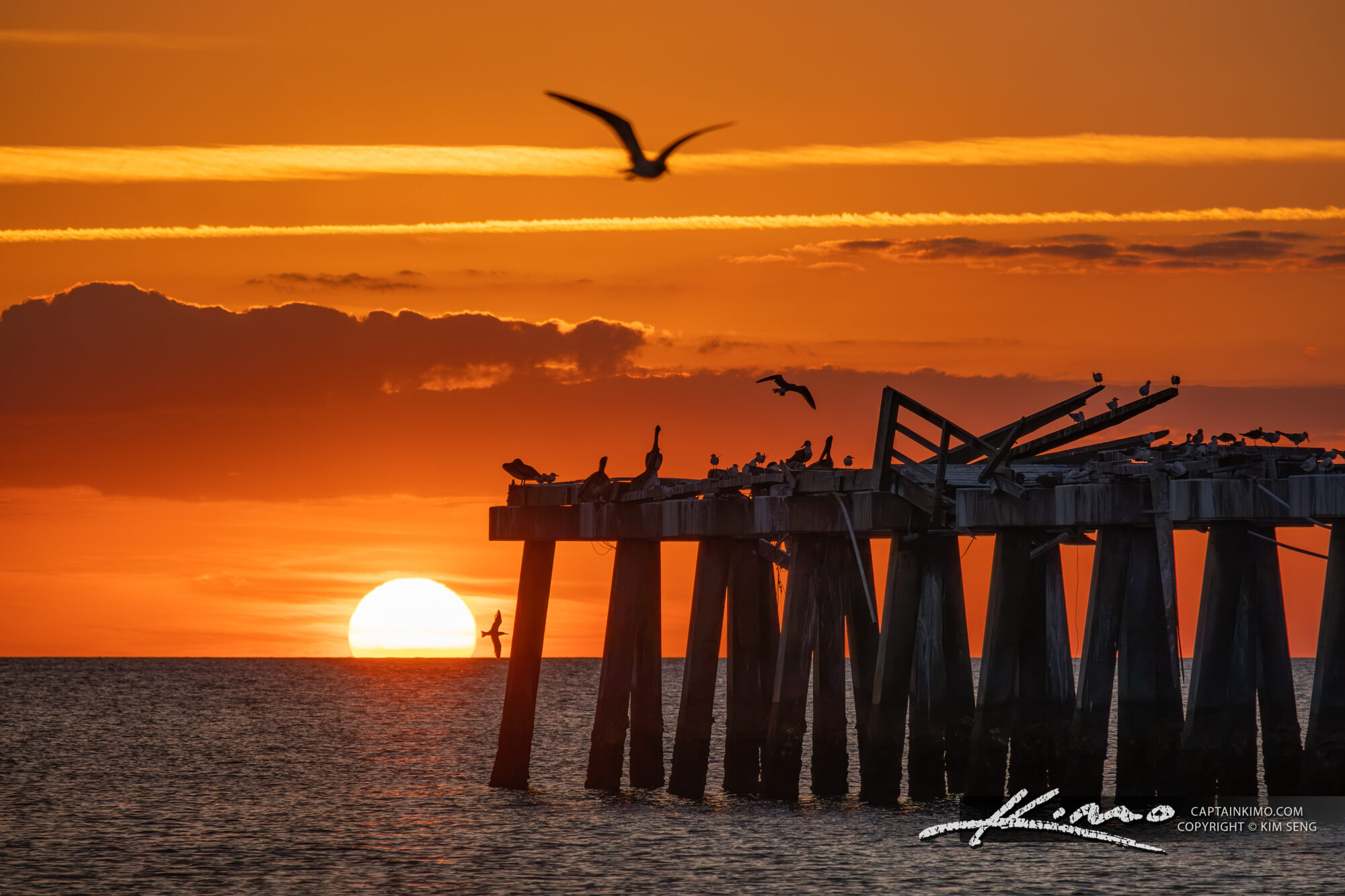 Sunset Silhouettes At Naples Pier HDR Photography By Captain Kimo