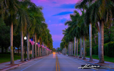 Royal Palms along Royal Palm Beach Blvd