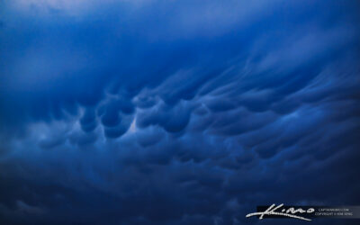 Storm Cloud Over Palm Beach Gardens