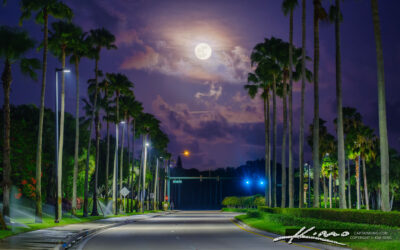 Full Moonrise Over Palm Beach Gardens Road with Palm Trees