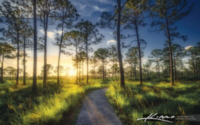 Sweetbay Natural Area Palm Beach Gardens Sunset