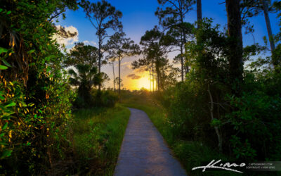 Sunset Walking Trail Royal Palm Beach Pines Natural Area