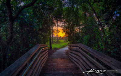 Wide View Entrance Sweetbay Natural Area