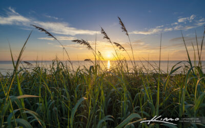Coral Cove Sea Oats Sunrise from Jupiter Island