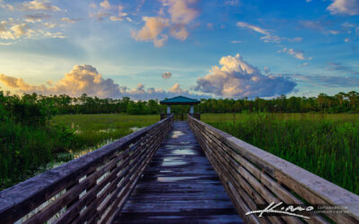 Royal Palm Beach Pines Natural Area Boardwalk to Sunset
