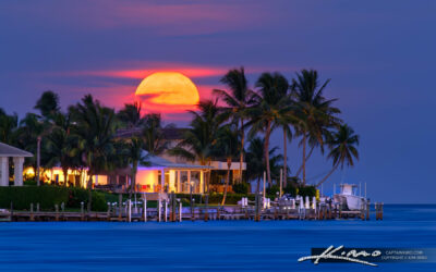 Fullmoon Rising Over Coconut Trees and Waterfront Homes Jupiter
