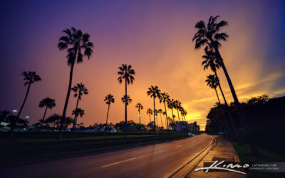 Palm Tree Road Palm Beach Gardens Florida