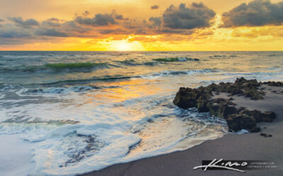 Coral Cove Park Sunrise with Nikon 1 J5