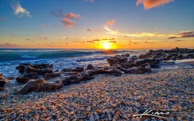 Coral Cove Sunrise with Sea Shells and Wave