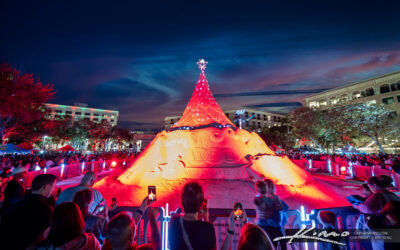 Sandi Christmas Tree 2023 Red Lights West Palm Beach