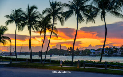 Jupiter Inlet July 31 Sunset with Lighthouse and Coconut Trees