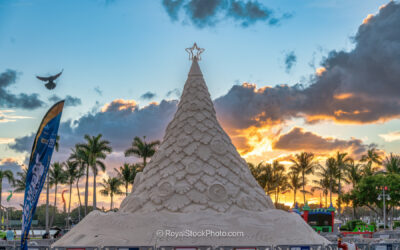 Celebrate the Holiday Season at the Festive Sand Tree in Downtow