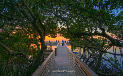 Inviting Boardwalk Beckons Visitors to Sunset Reflections Over t
