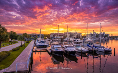Coastal Marina Entertainment Showcases Vibrant Sunrise Over Melb