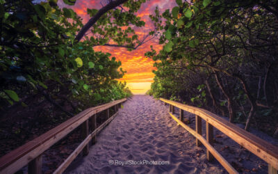 Jupiter Inlet Beach Entrance in Jupiter Florida